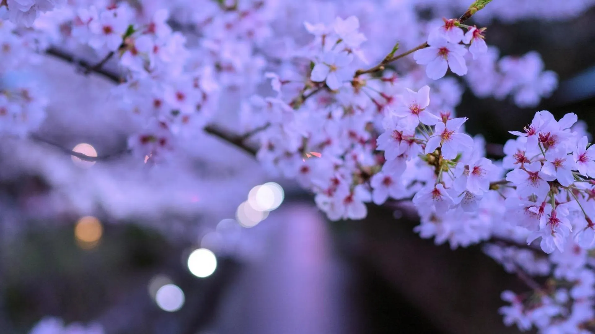 Hotel Omo5 Kyoto Sanjo By Hoshino Resorts