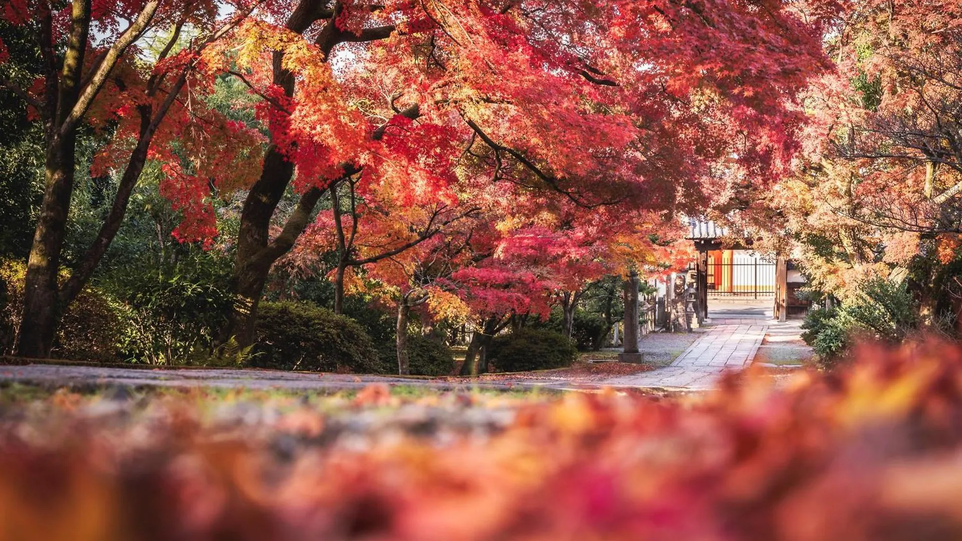 Omo5 Kyoto Sanjo By Hoshino Resorts Hotel