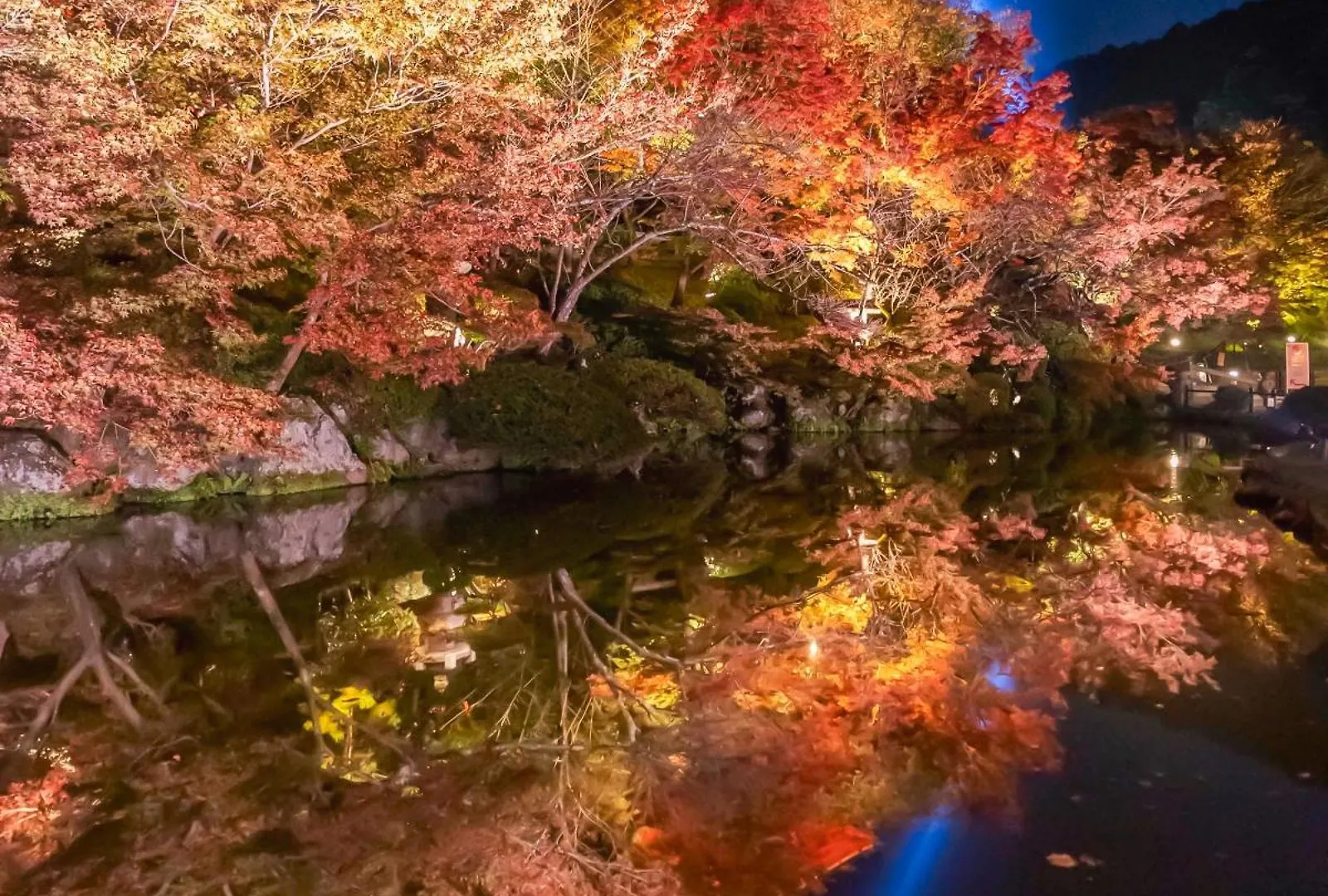 Omo5 Kyoto Sanjo By Hoshino Resorts Hotel